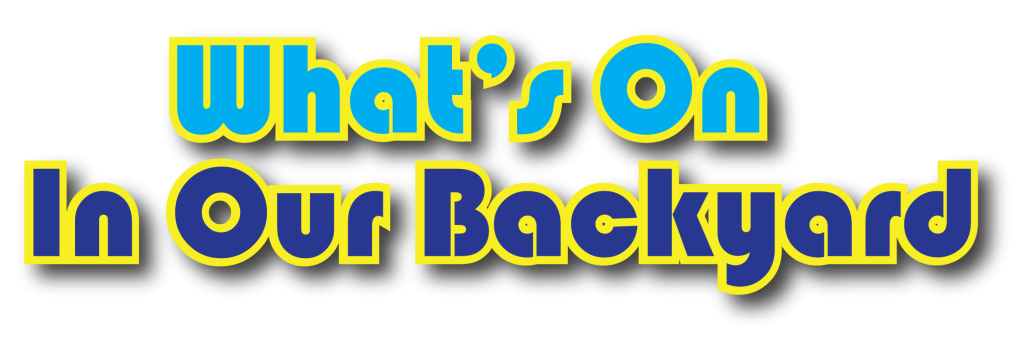 What's On In Our Backyard | Port Stephens